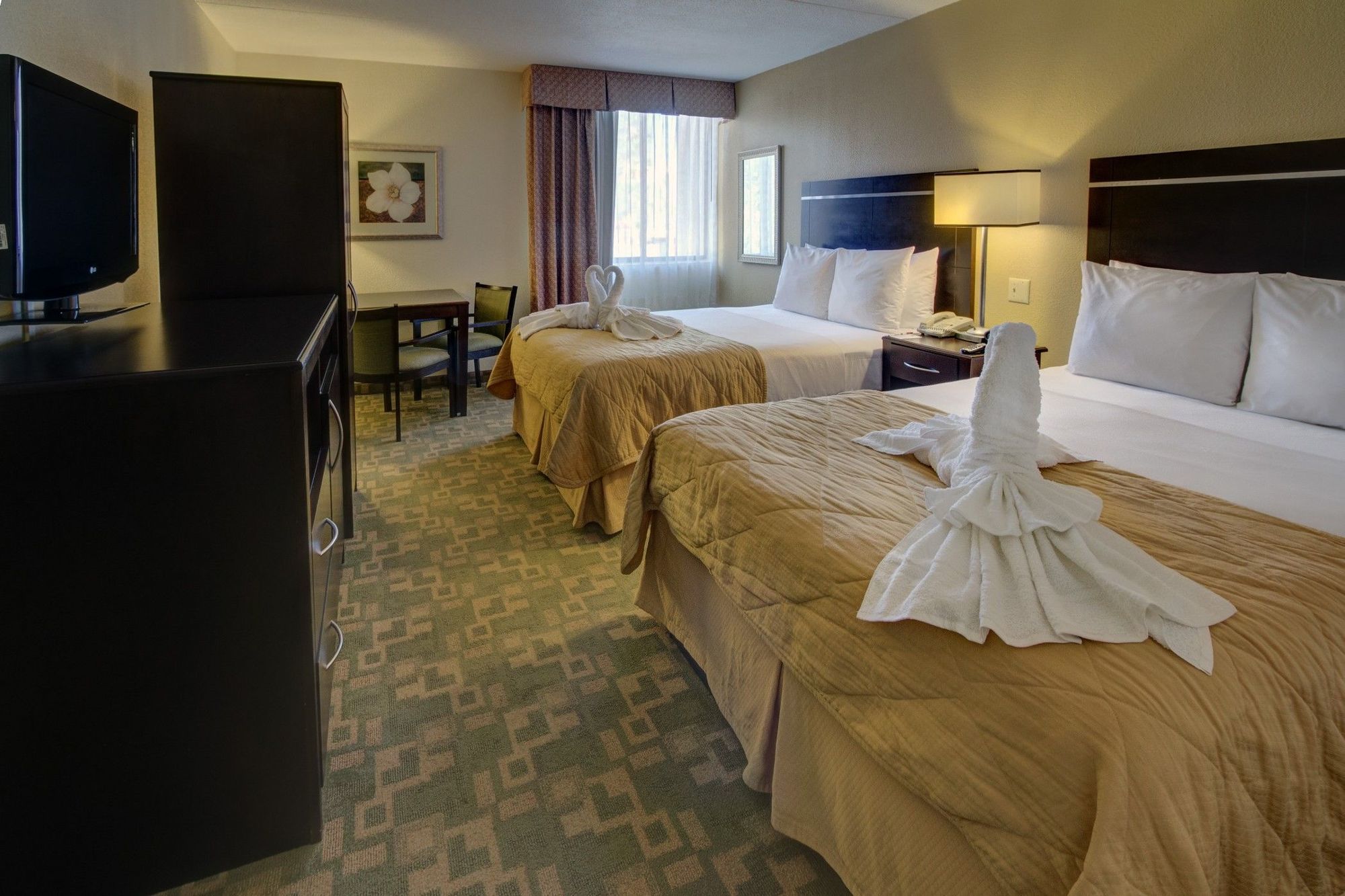 Clarion Inn & Suites At International Drive Williamsburg Phòng bức ảnh